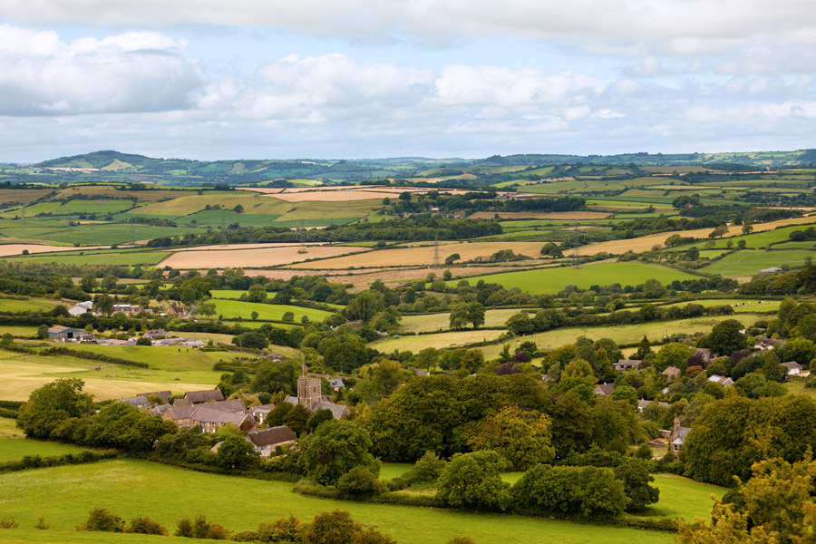 Devon Countryside