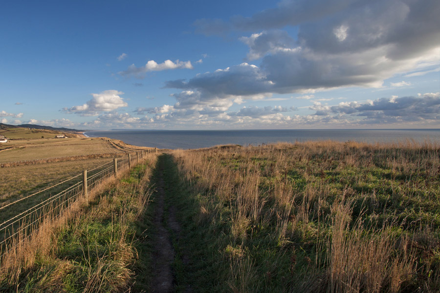 Devon Seaside